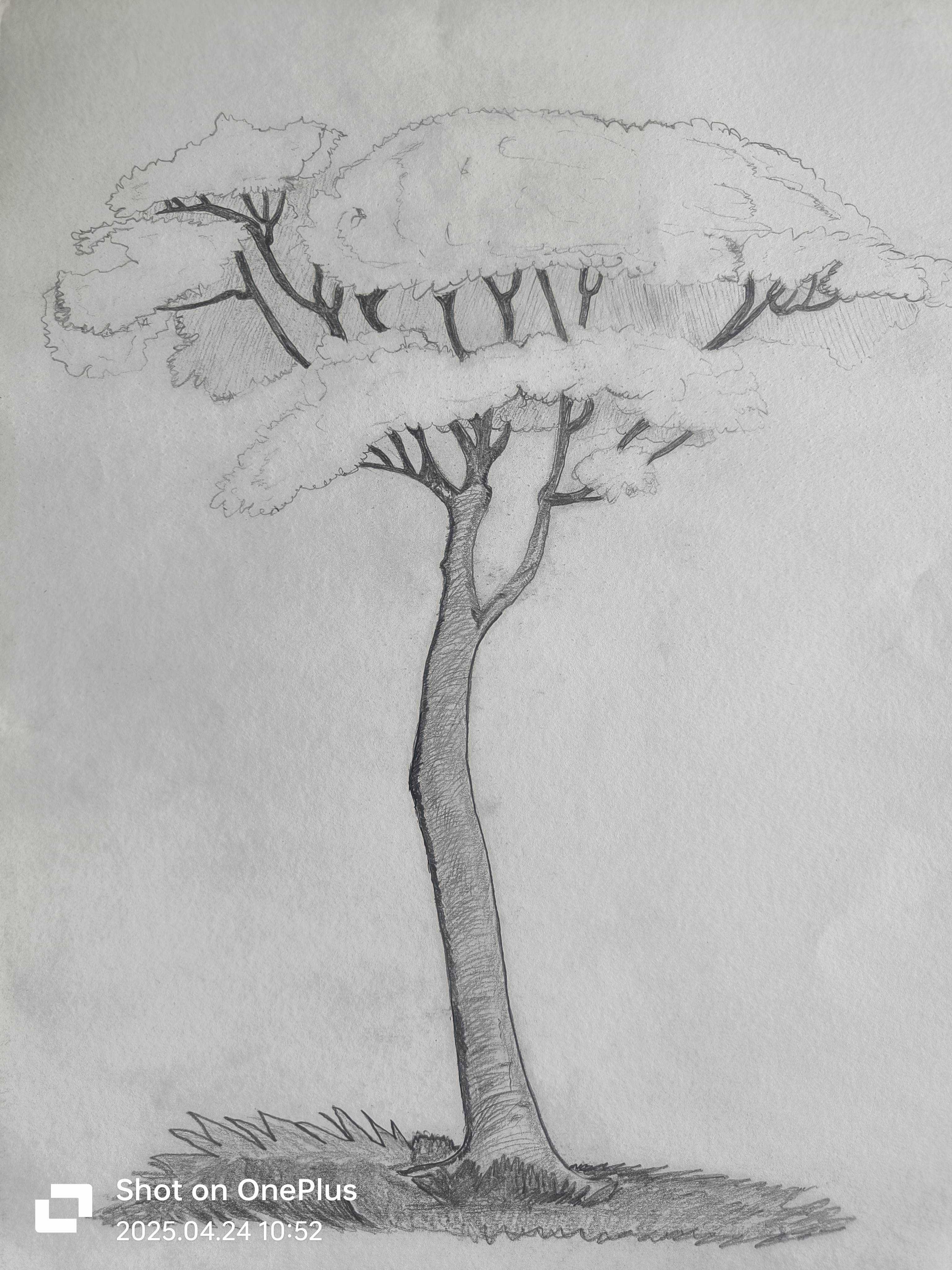 Web Design 2