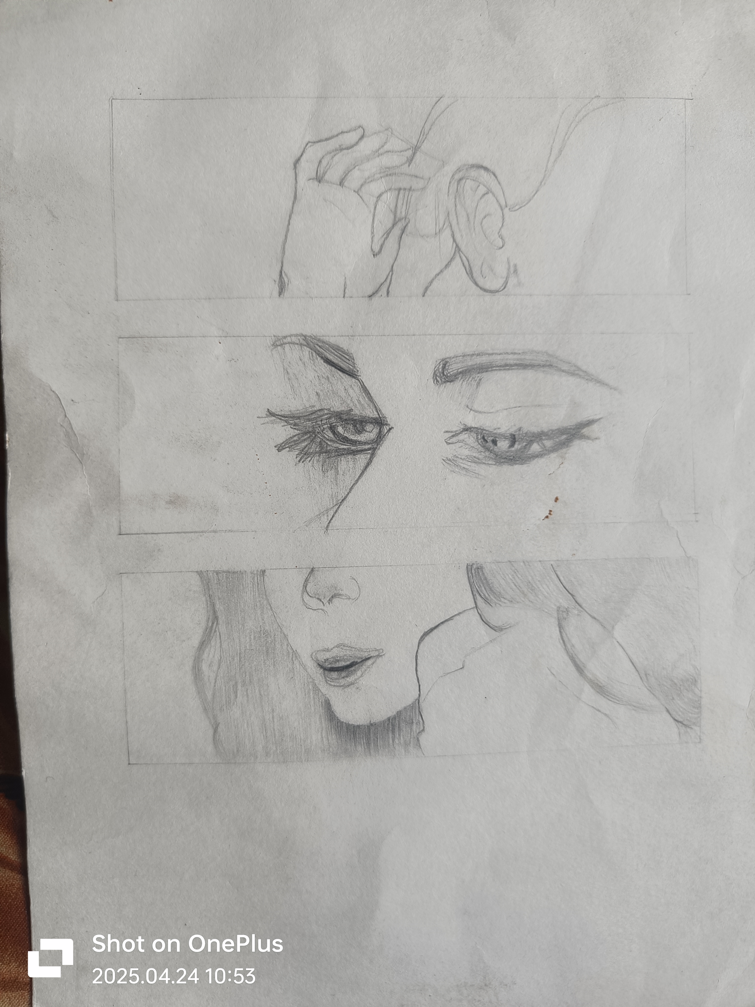 Web Design 8